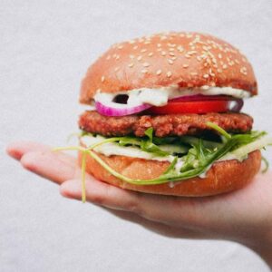 Foodini - best vegan burgers - huxtaburger