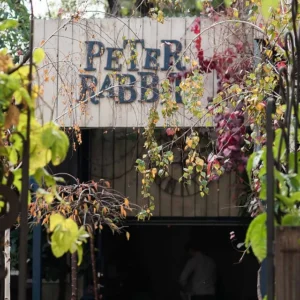 Enchanted entrance of Peter Rabbit Café with fairy lights and urban graffiti background.